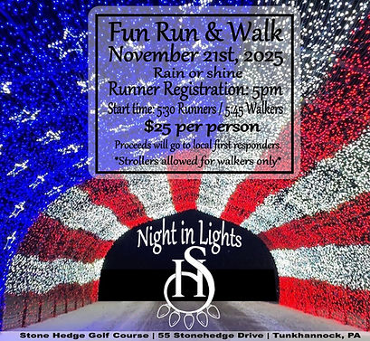 Night in Lights 2025.jpg