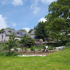 UcafollesHerbres-1024x576.jpg