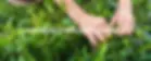 banner-roiser.webp
