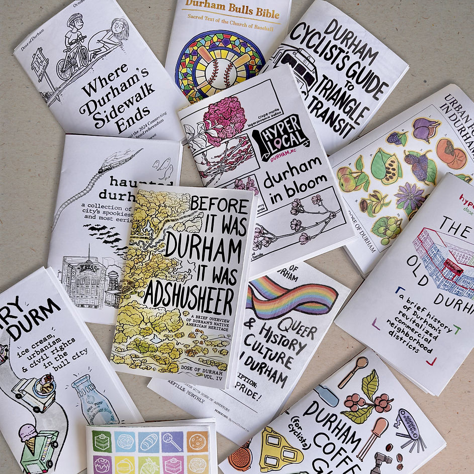 zines variety pic with background copy.jpg