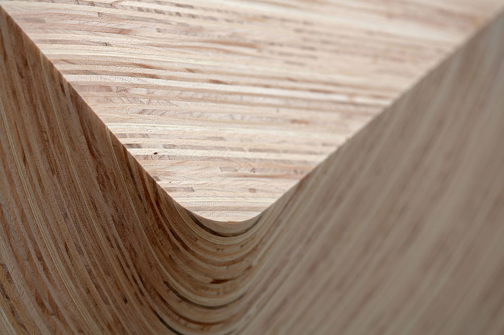 20220610_Fuchs_Angelika_2805