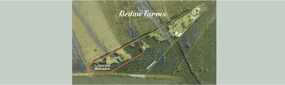 3-Site Plan Overhead View-with Bkg.jpg