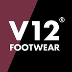 V12 logo