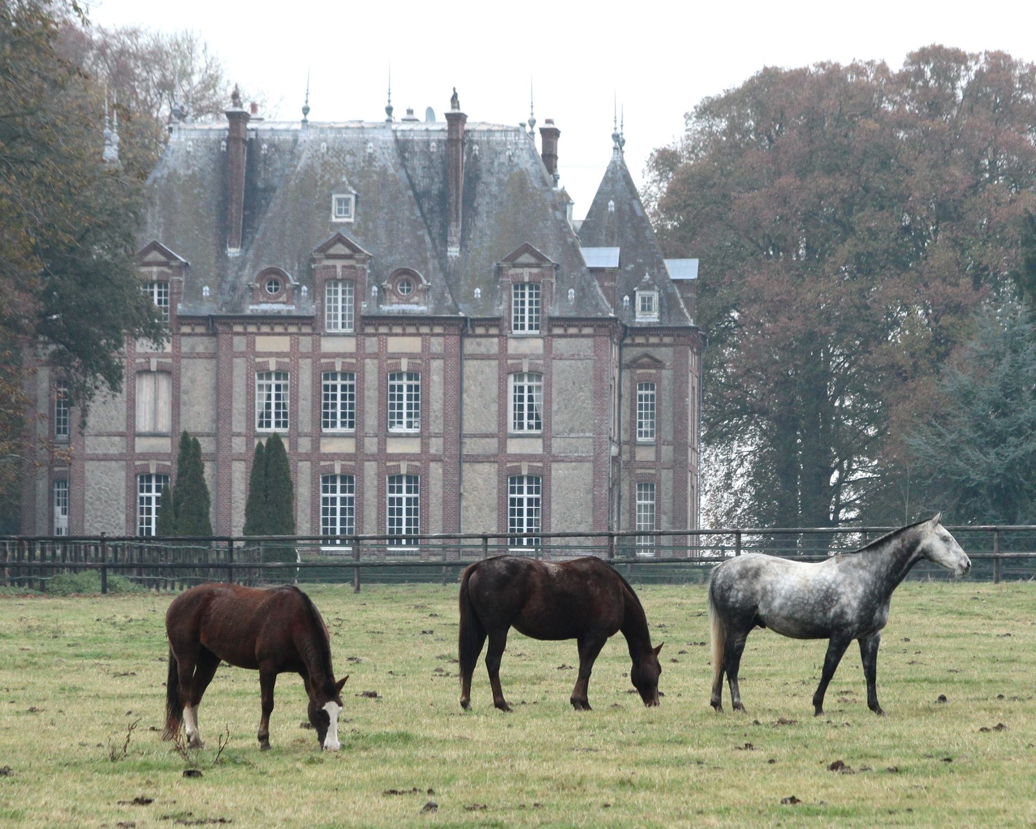 Roseraie du Relais du Château