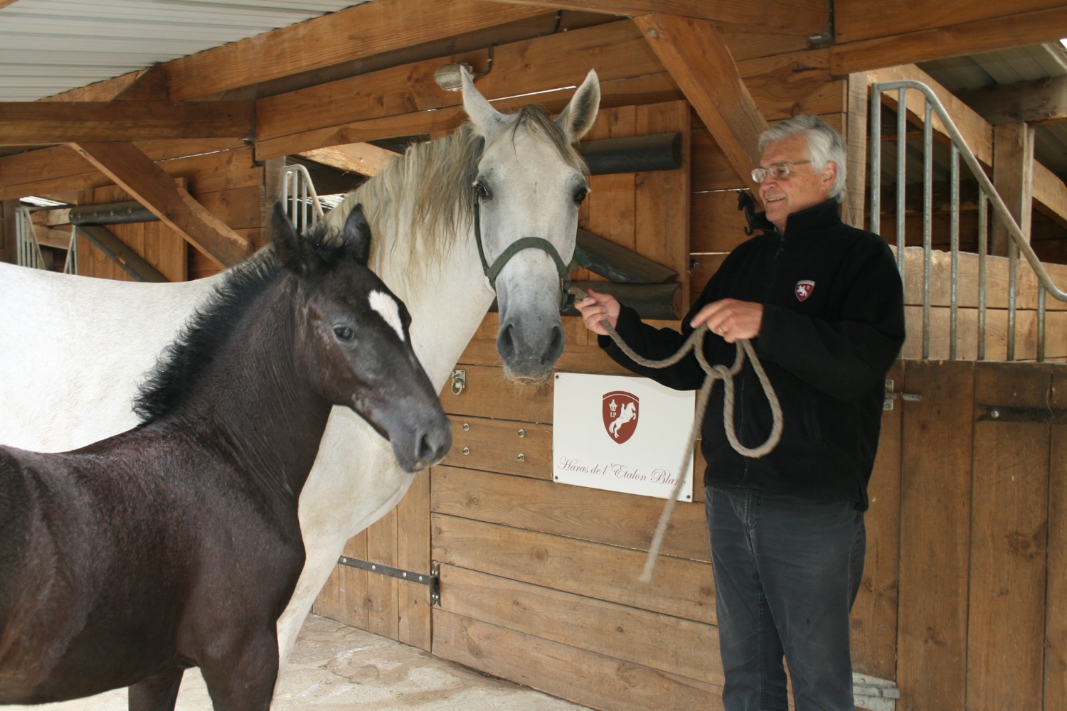 Relais du Château Elevage Lipizzans