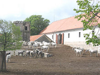 Haras traditionnel Photo selectionnée par Lipizzan Haras de l'Etalon Blanc