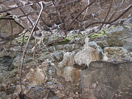 Verlassener Bunker für Flugzeuge