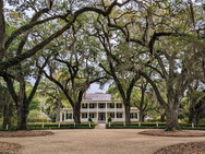 Rosedown Plantation
