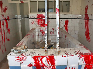 lost place Eisenmoorbad