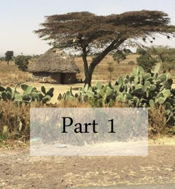 bringing washable reusable feminine menstrual hygiene products to girls in Ethiopia