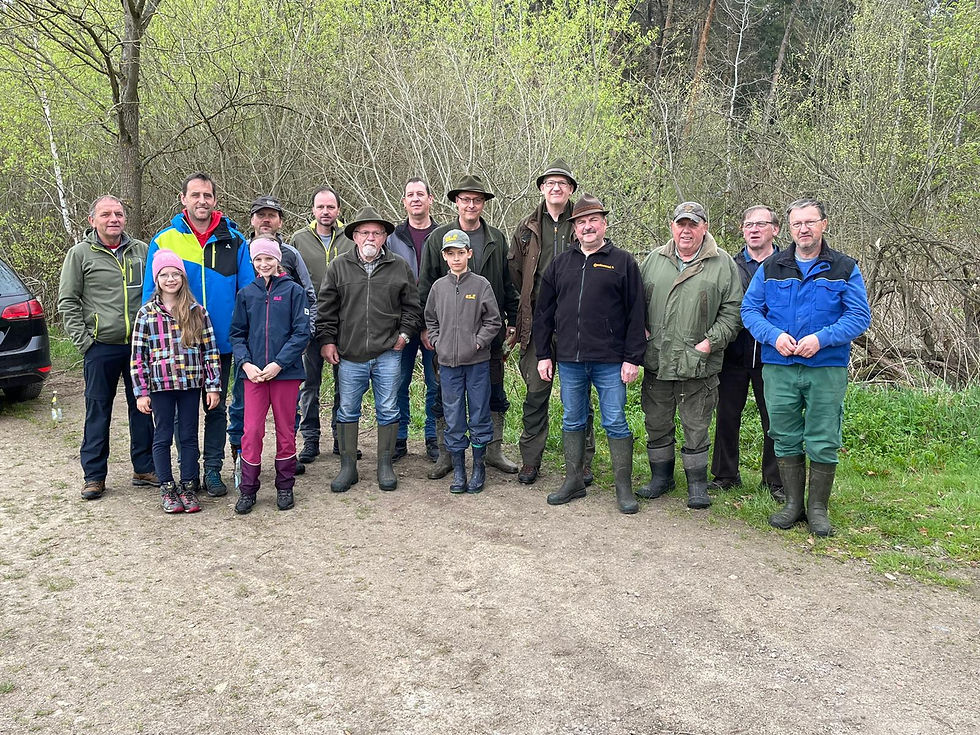 Waldbegehung im Auholz