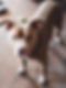 tests 1-2.jpg