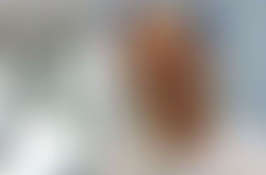 NoÄno delo âpostaraâ moÅŸgane