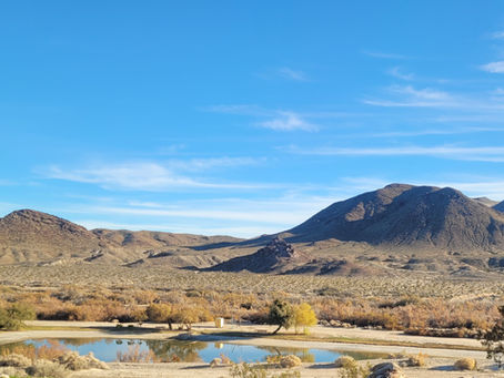 The Cornerstone of Our Joy