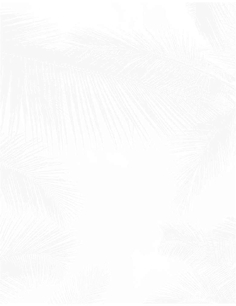 FONDO_LIGERO-01.jpg