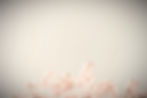 masaaki-komori-14cHwhRKJh8-unsplash_edited.jpg