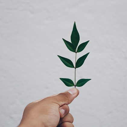 Nailtopia IG Post (2).png