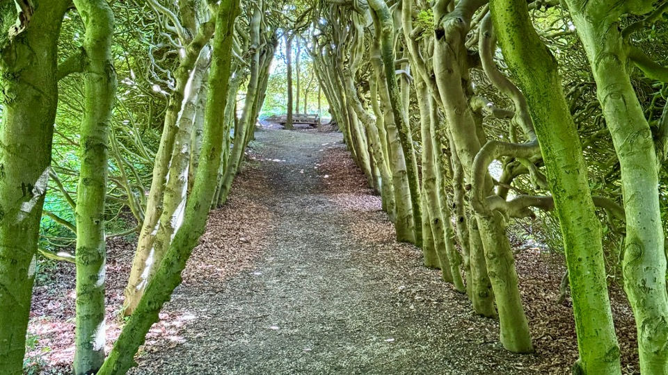 LEAD Wayfinding - Oosterbeek 2026