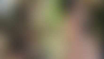 相模の国の良弁上人を探す③