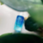 IMG_4272.jpeg