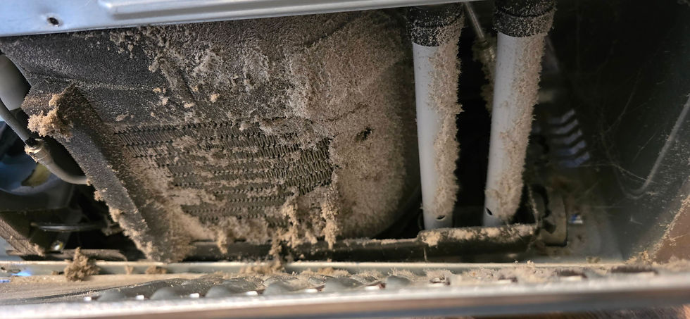 dirty condenser coils on back of samsung refrigerator