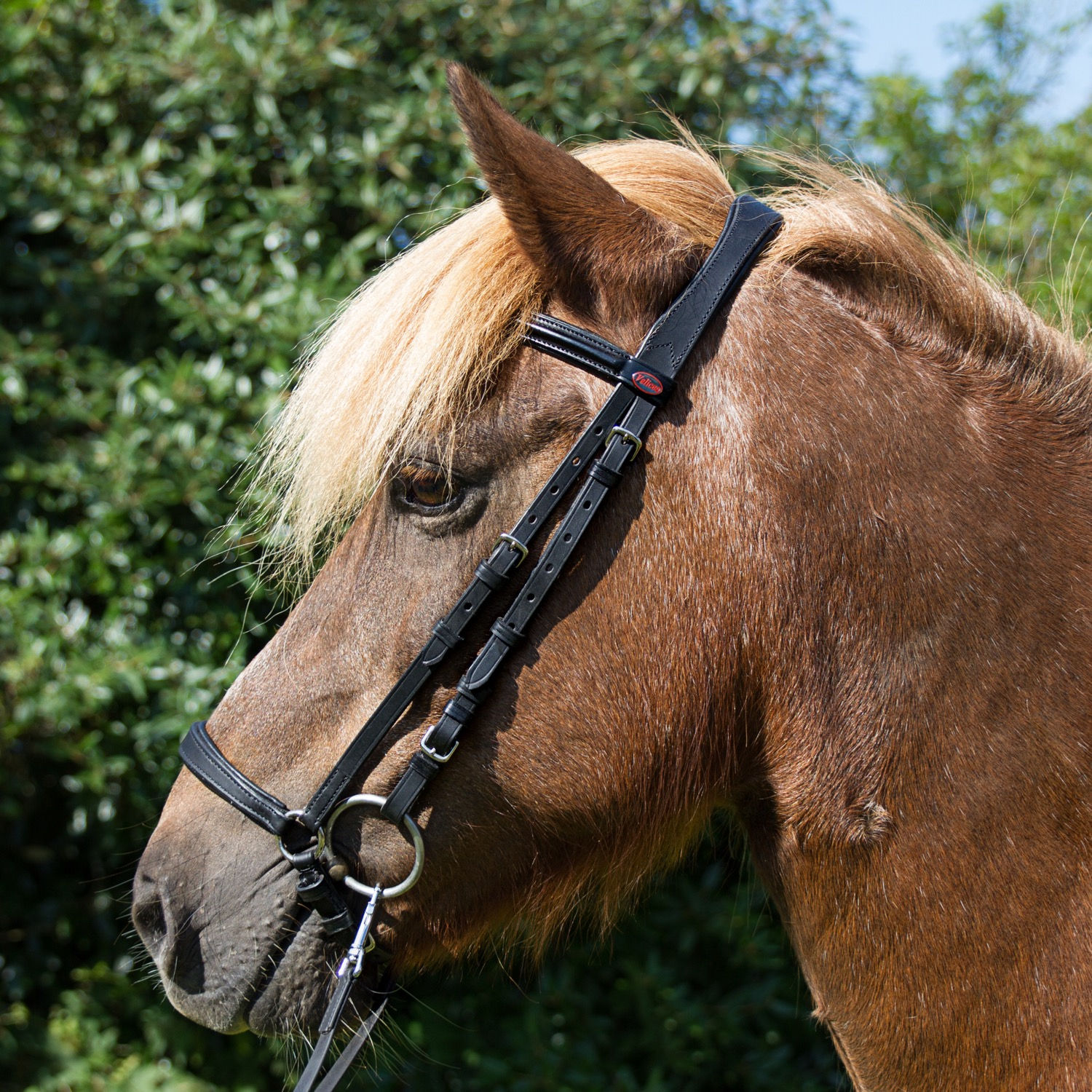 Velicea - Betra Slimline