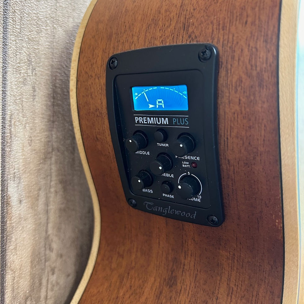 Thumbnail: Tanglewood TW12CE NS