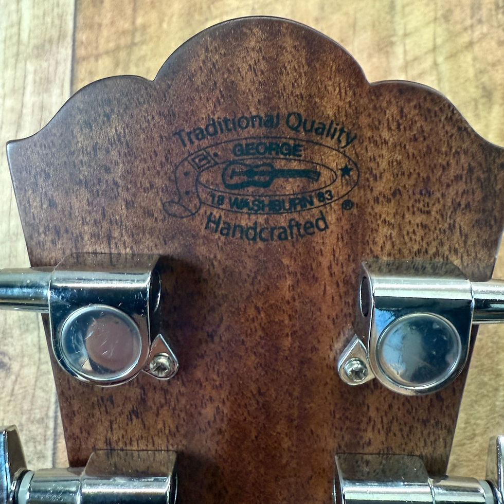 Thumbnail: Washburn Heritage D10s