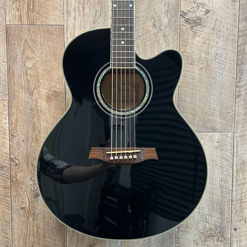 Ibanez AEL10E BK (Pre-Owned)