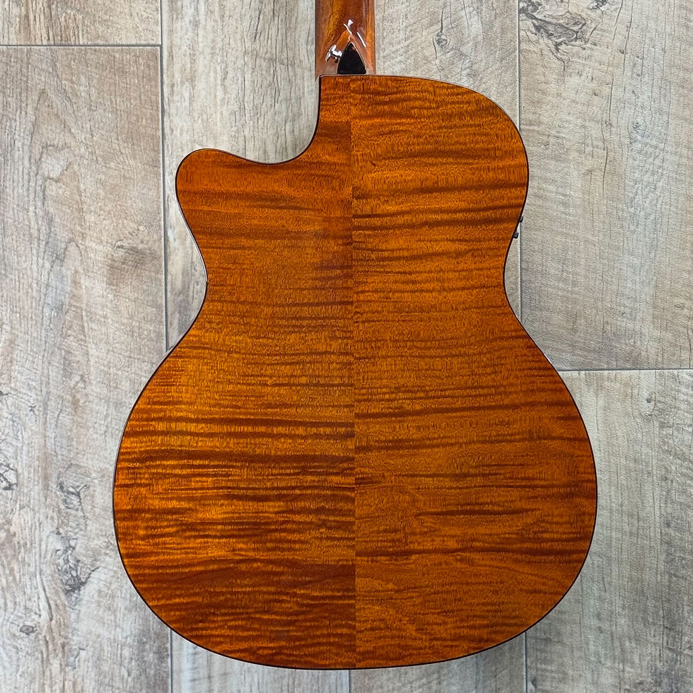 Thumbnail: Washburn Comfort WCG12 FCE