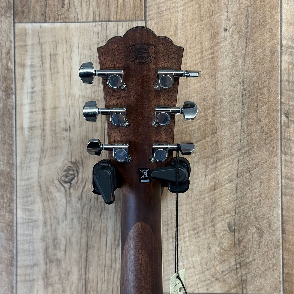 Thumbnail: Washburn Heritage D10s