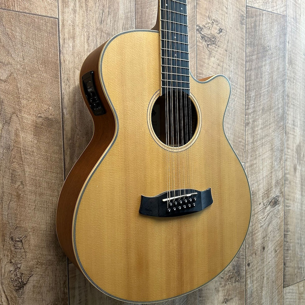 Thumbnail: Tanglewood TW12CE NS
