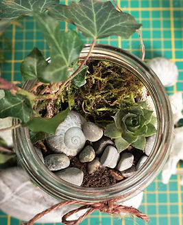atelier écologique terrarium