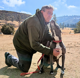 A man hugging a grey pittie named Bubba.