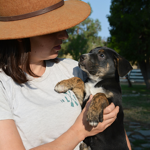 Sophia_DoriPuppy.png