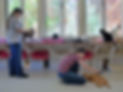 Volunteers_Cattery_edited.jpg