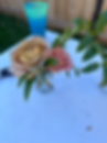 photo of flowers