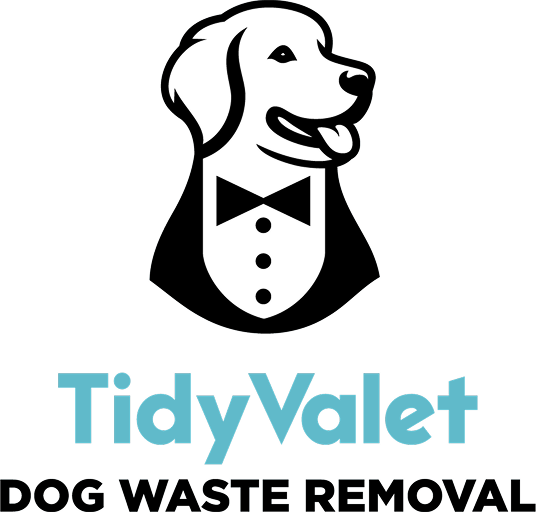 TidyValet Logo