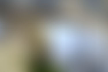 Office decorating tips during holidays