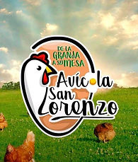 IMAGEN SAN LORENZO.jpg