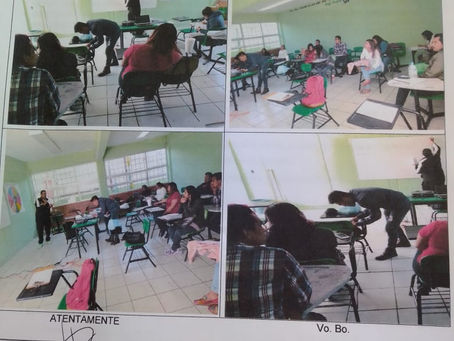 cuerpos colegiados