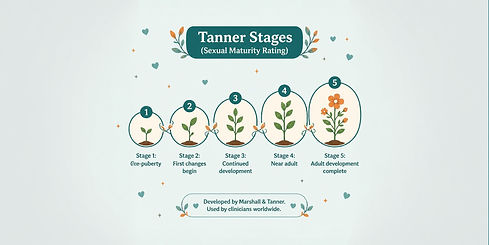 TransHealthHub Tanner Stages 1_edited.jpg