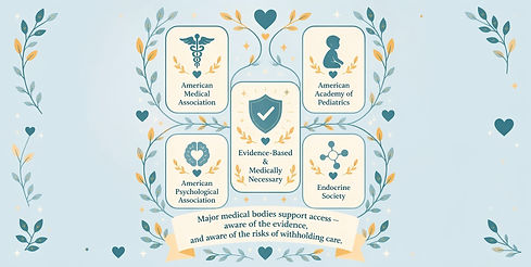 TransHealthHub Gender Affirming Care Mental Health Outcomes 4_edited.jpg