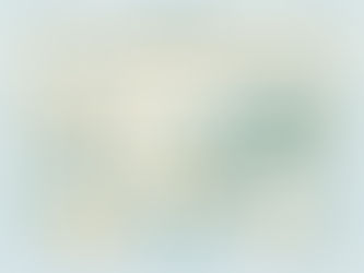 A banner stating "What Did the Cass Review Find?" with an open book at the center and a magnifying glass.
