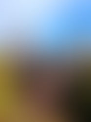 Pedro and Claudia on the Hyde School campus — a Hyde School student and his mother reflecting on growth, connection, and gratitude.