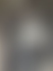 America Spirit performances where I was a dance