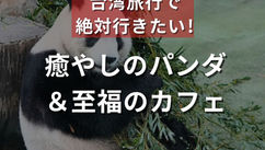 癒やしのパンダ＆至福のカフェ♪（ナルワントInstagram）
