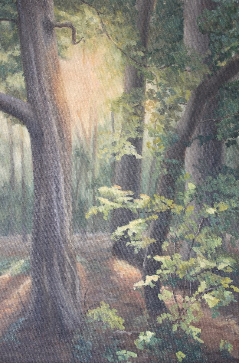Late Summer Light