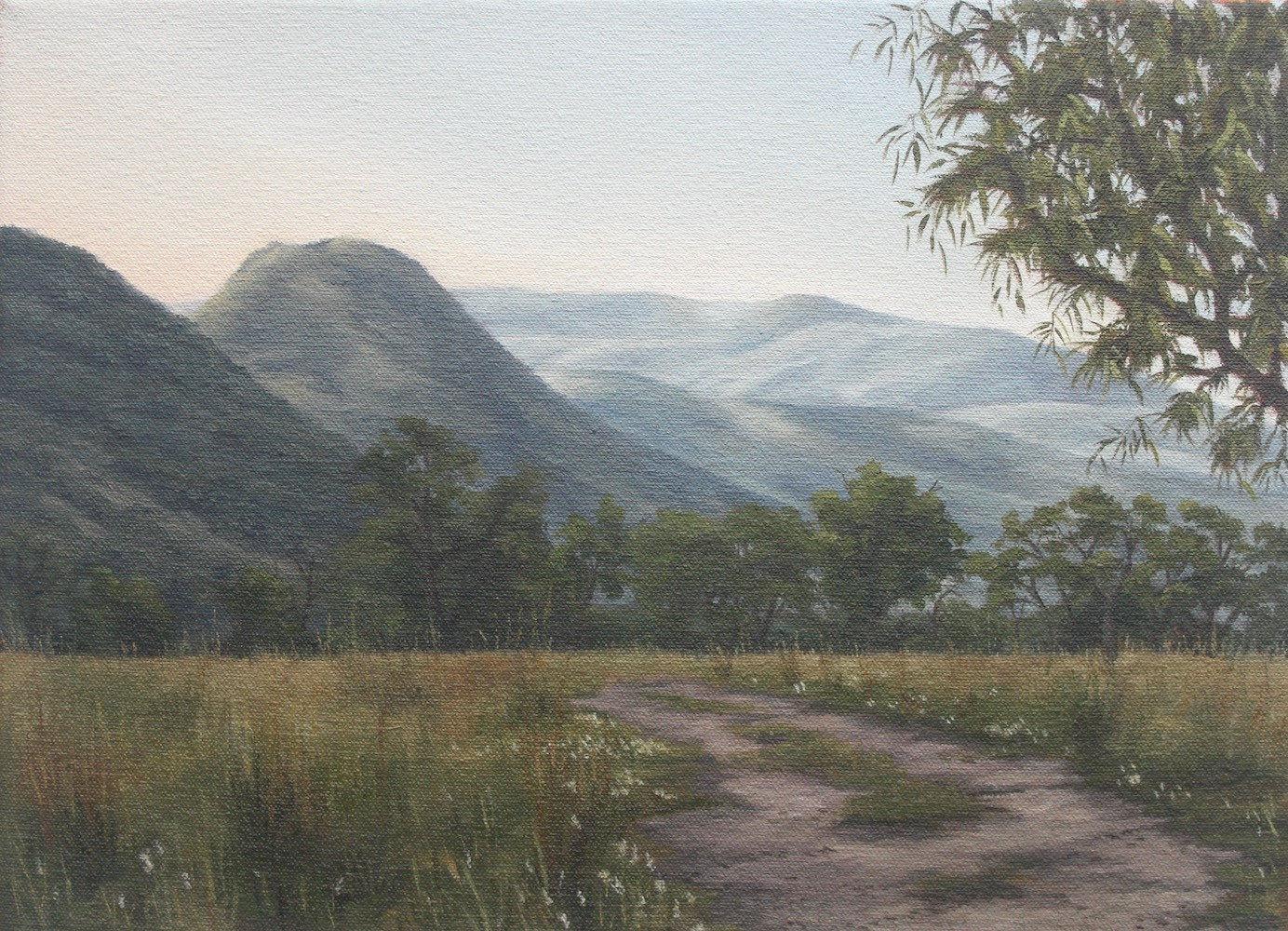Mountain Shadows