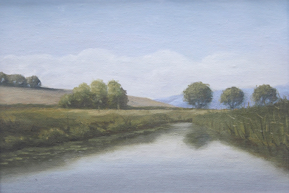 River Rother Study